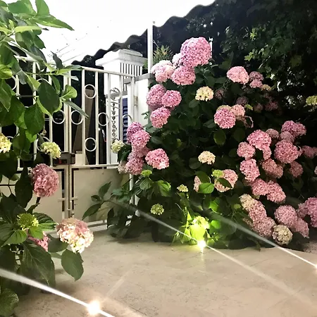 Petit Hotel-2